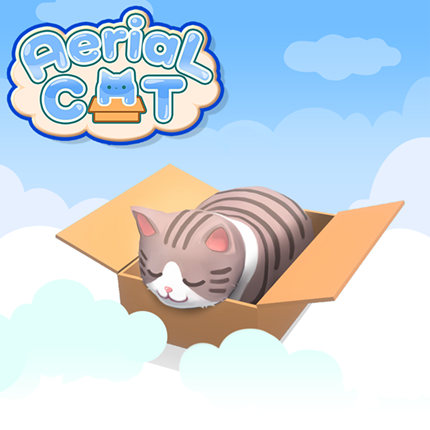 ダンボールと猫